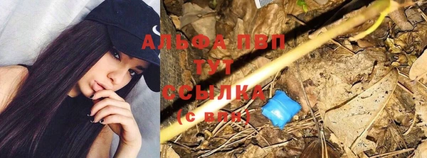 ешки Нягань