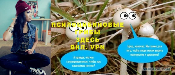 герыч Няндома