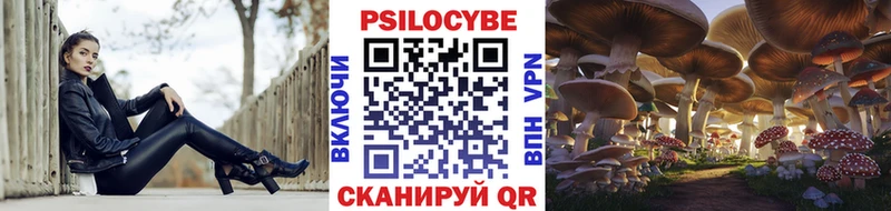 Псилоцибиновые грибы Psilocybine cubensis  Новомосковск 
