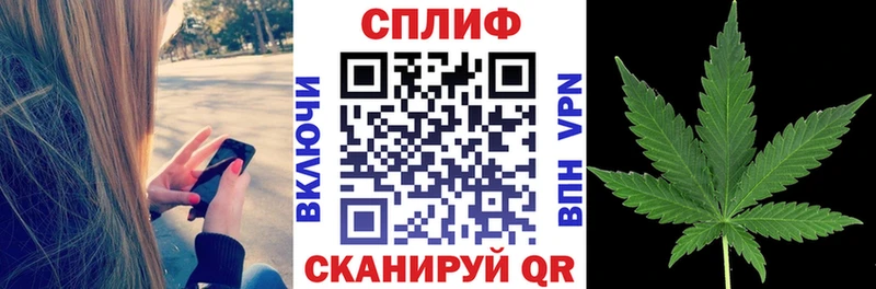 дарнет шоп  Новомосковск  Марихуана Amnesia 
